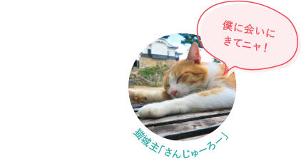 僕に会いにきてニャ！ 猫城主「さんじゅーろー」