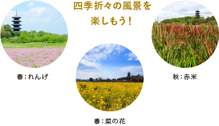 四季折々の風景を楽しもう！
