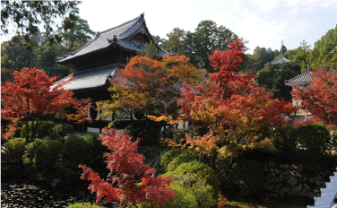 井山宝福寺の紅葉
