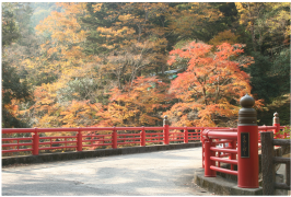 天神峡の紅葉橋
