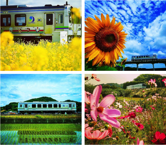 四季折々の井原鉄道の風景