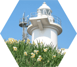 六島灯台と水仙