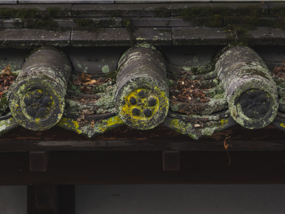 うかん常山公園コース講師フォト1