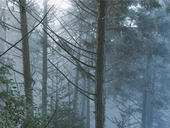 うかん常山公園コース講師フォト4
