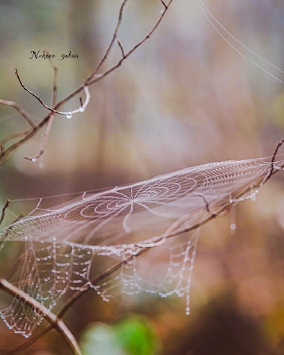 うかん常山公園コース一般フォト2