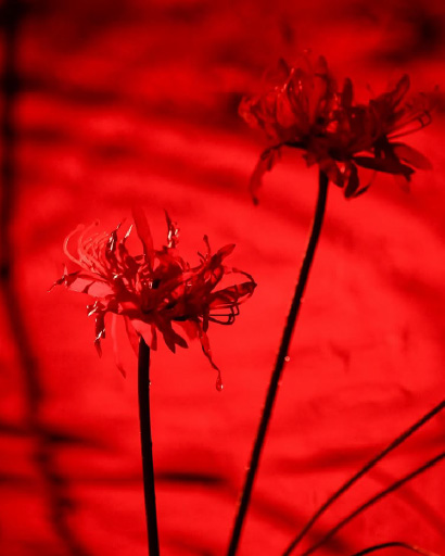 うかん常山公園コース一般フォト5